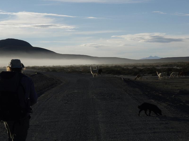 Coipasa Salt Flats (5).JPG